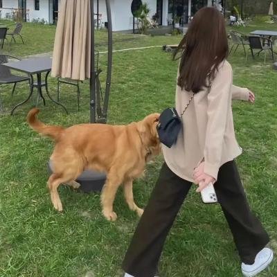 孤堡惊情